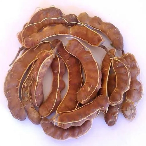 Fresh Tamarind