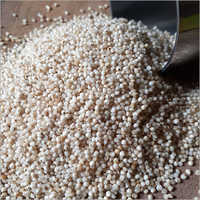 Organic Barnyard Millet - Dried White Millet | Premium Quality, 100% Organic, Gluten-free, Versatile Grain For Health Conscious Consumers