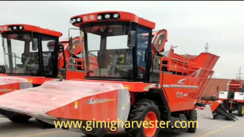4 rows maize harvester