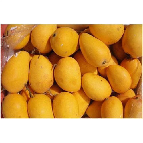 Badami Mango By INDRA GLOBAL EXPORT