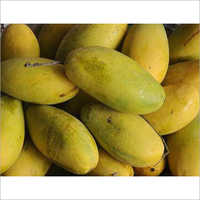 Dashehri Mango