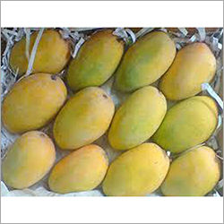 Kesar Mango