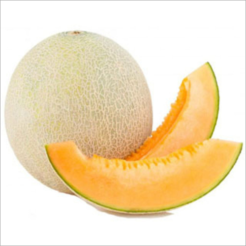 Fresh Muskmelon By INDRA GLOBAL EXPORT