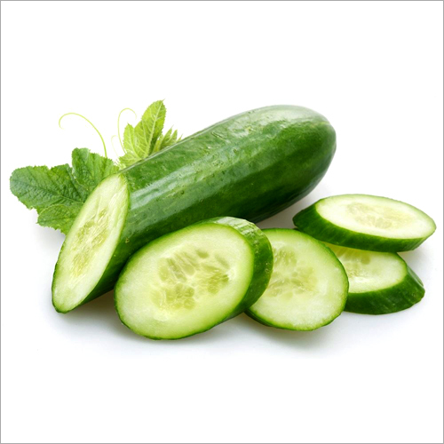 Green Fresh Cucumber