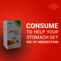 Streamline Ginger Ayurvedic Veg Capsules - 30 Herbal Capsules, Natural Anti-inflammatory Enhancer For Digestive And Kidney Health