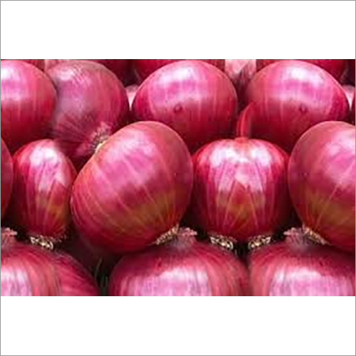 Fresh Red Onion