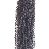 Steamed  Afro Kinky Curly Human hair Afro style