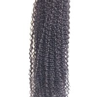 Steamed  Afro Kinky Curly Human hair Afro style
