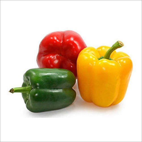 Fresh Capsicum