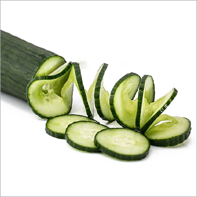 Fresh Cucumber By SHREE SANT MUKTAI INDUSTRIES PVT. LTD.