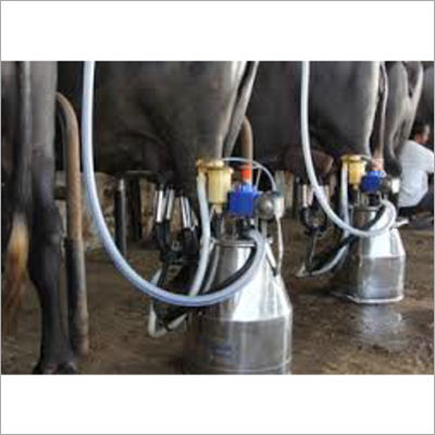 Bun Milking Machine