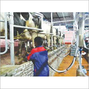 Speedline Milking Parlour