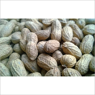 Common Raw Peanut
