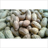 Amendoim