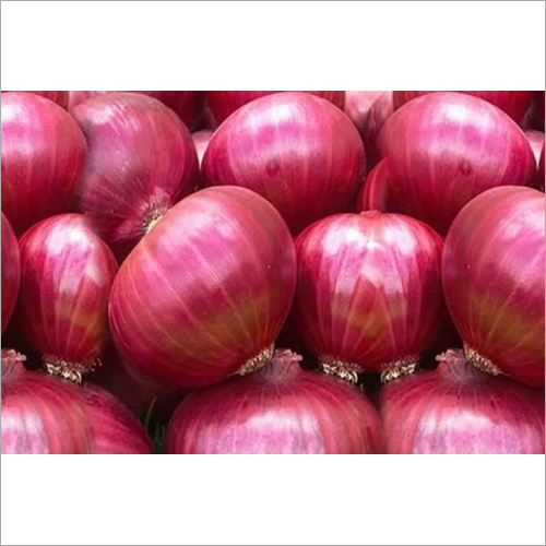 Pink Onion