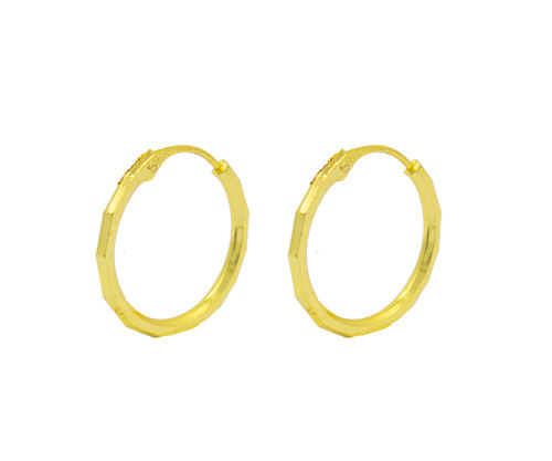 Gold plated Hoops Earrings