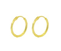 Gold Plated Hoops Earrings