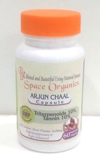 Arjun Chaal