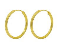 Gold plated Hoops Earrings