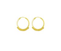 Gold plated Hoops Earrings