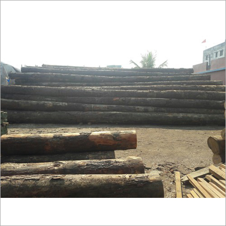 American Pine Logs
