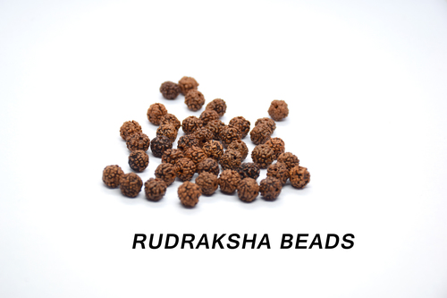 Rudraksha Beads