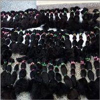 WHOLESALE PRICE  REAL BLACK HAIR EXTENSIONS