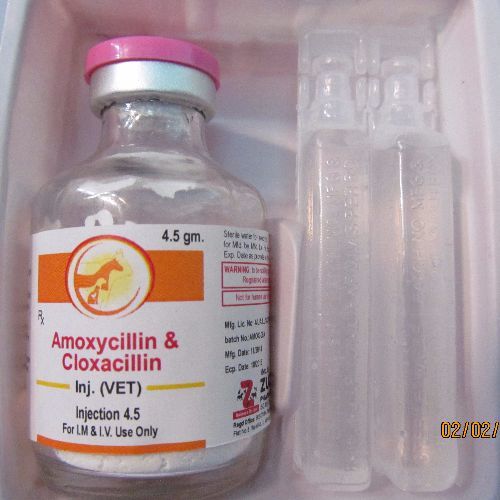 Amoxicillin and Sulbactam for Injection