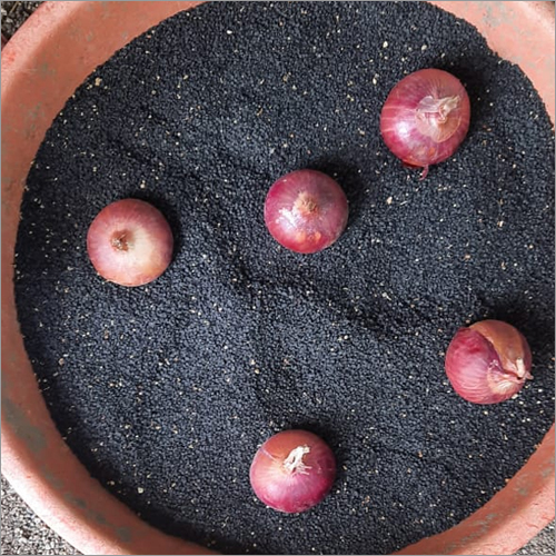 Hybrid Onion Seeds