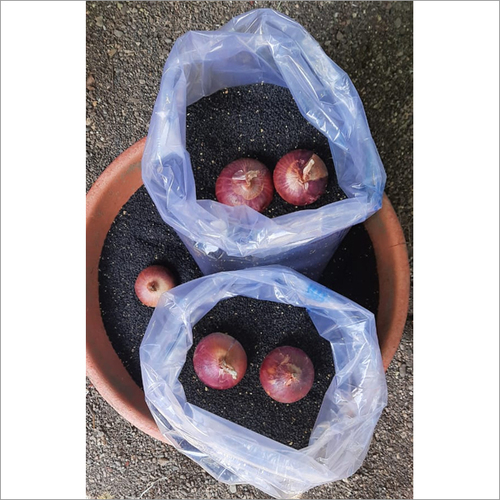 White Onion Seeds
