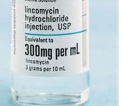 Lincomycin HCL Injection