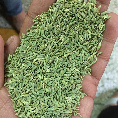 Fennel Seeds