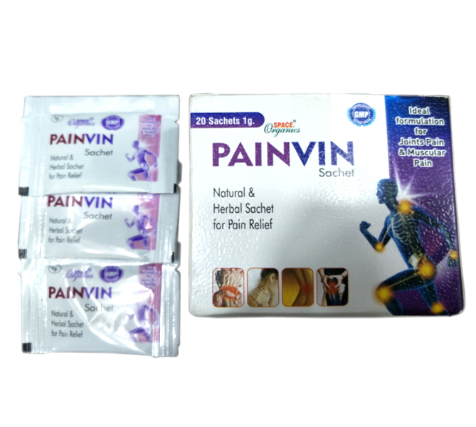 Ayurveda Joint Pain 1G Sachet Painvin Ointment
