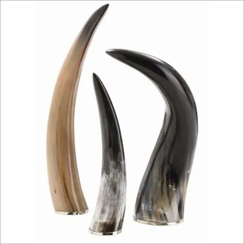 Decorative Horn