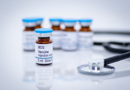 Bcg Vaccine