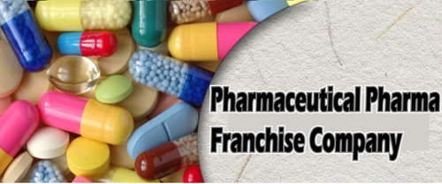 Pharmaceutical Pharma Franchisee Company