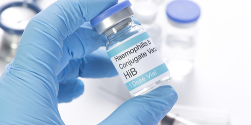 Hib Vaccine