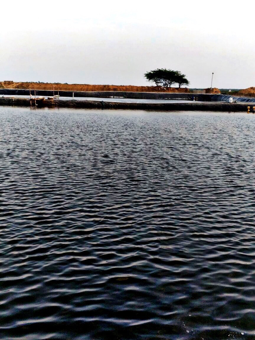 Ldpe Pond Liner Sheets
