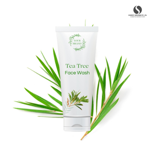 Tea Tree Face Wash