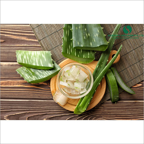 Aloe Vera Hair Mask