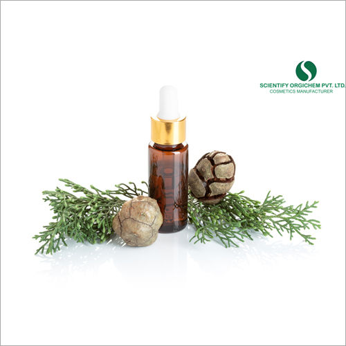 Cypress Hair Oil