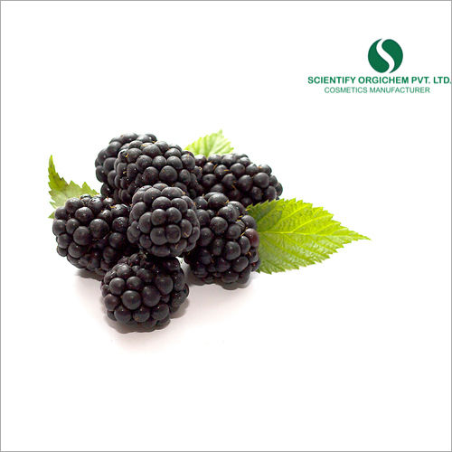 Blackberry Hair Serum