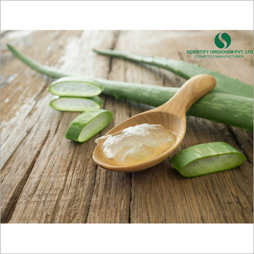 Aloe Vera Hair Shampoo