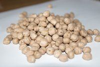 Raw kabuli chickpeas