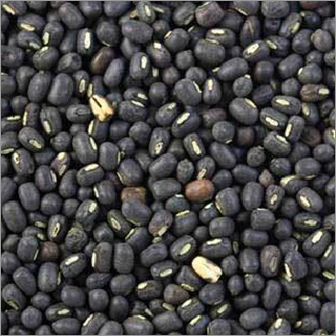 Whole Black Lentils