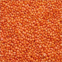 Masoor Dal - Organic Split Lentils | High Purity, Natural Shape, Custom Weight Options