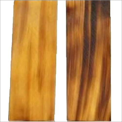 Light Brown Buffalo Horn Plate