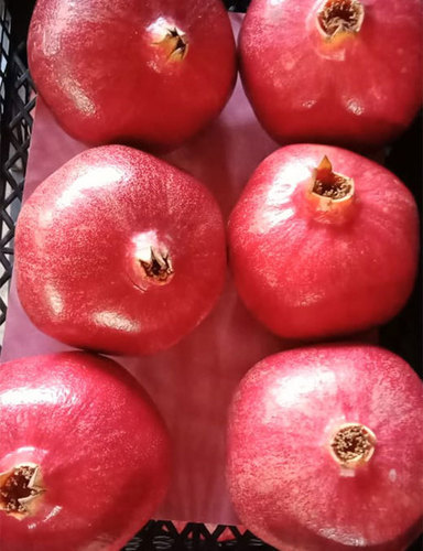Pomegranates Fresh Fruits