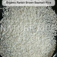 Organic Ranbir White Basmati Rice