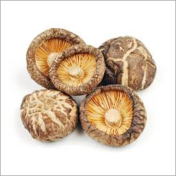 Dried Shiitake Mushroom Shelf Life: 12 Months